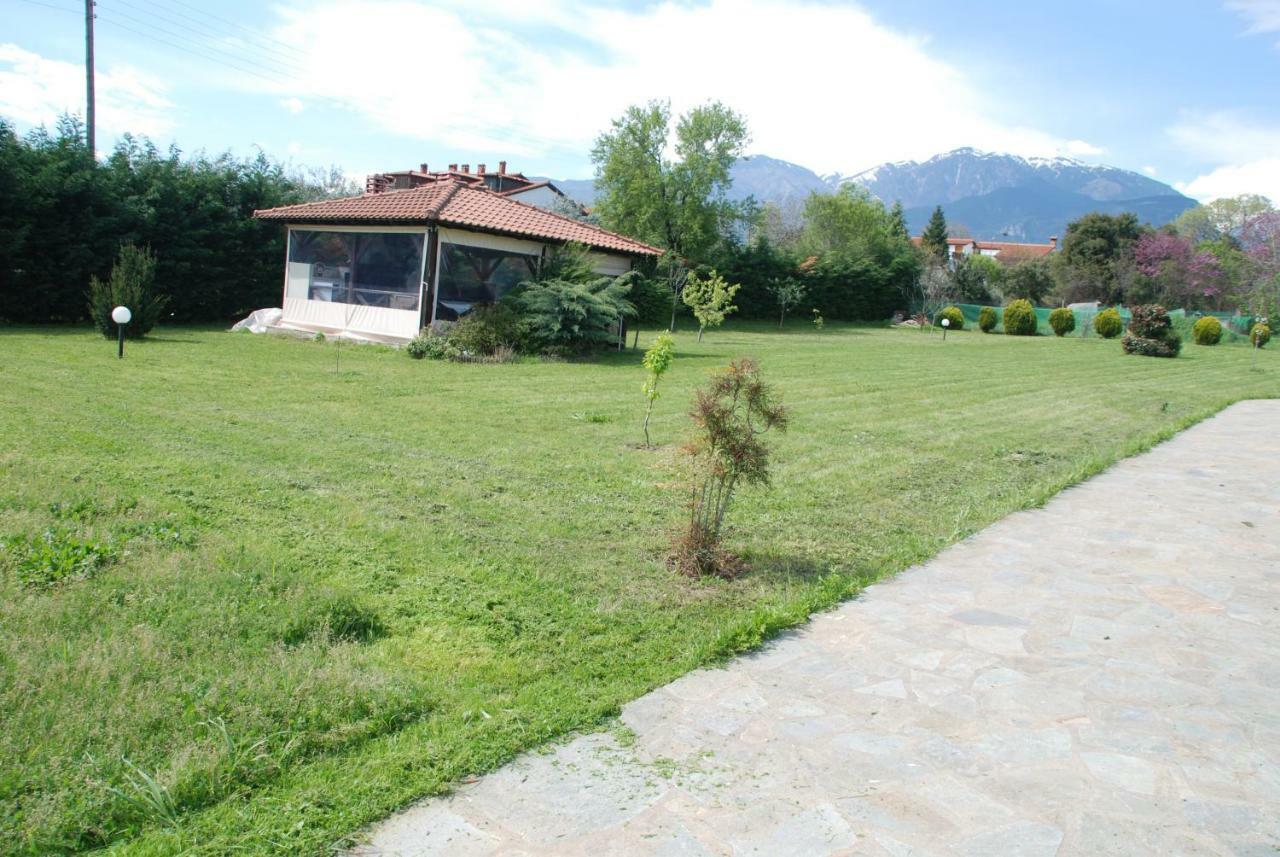 Casa Consta Olympus Villa Litochoro Exterior photo