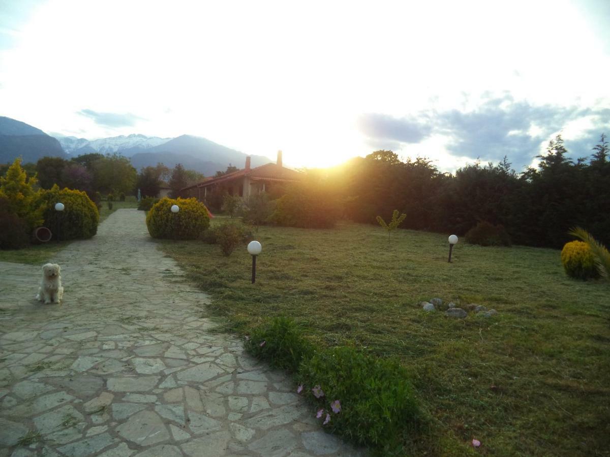 Casa Consta Olympus Villa Litochoro Exterior photo